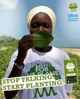 Fatou Jeng - Stop talking. Start planting.