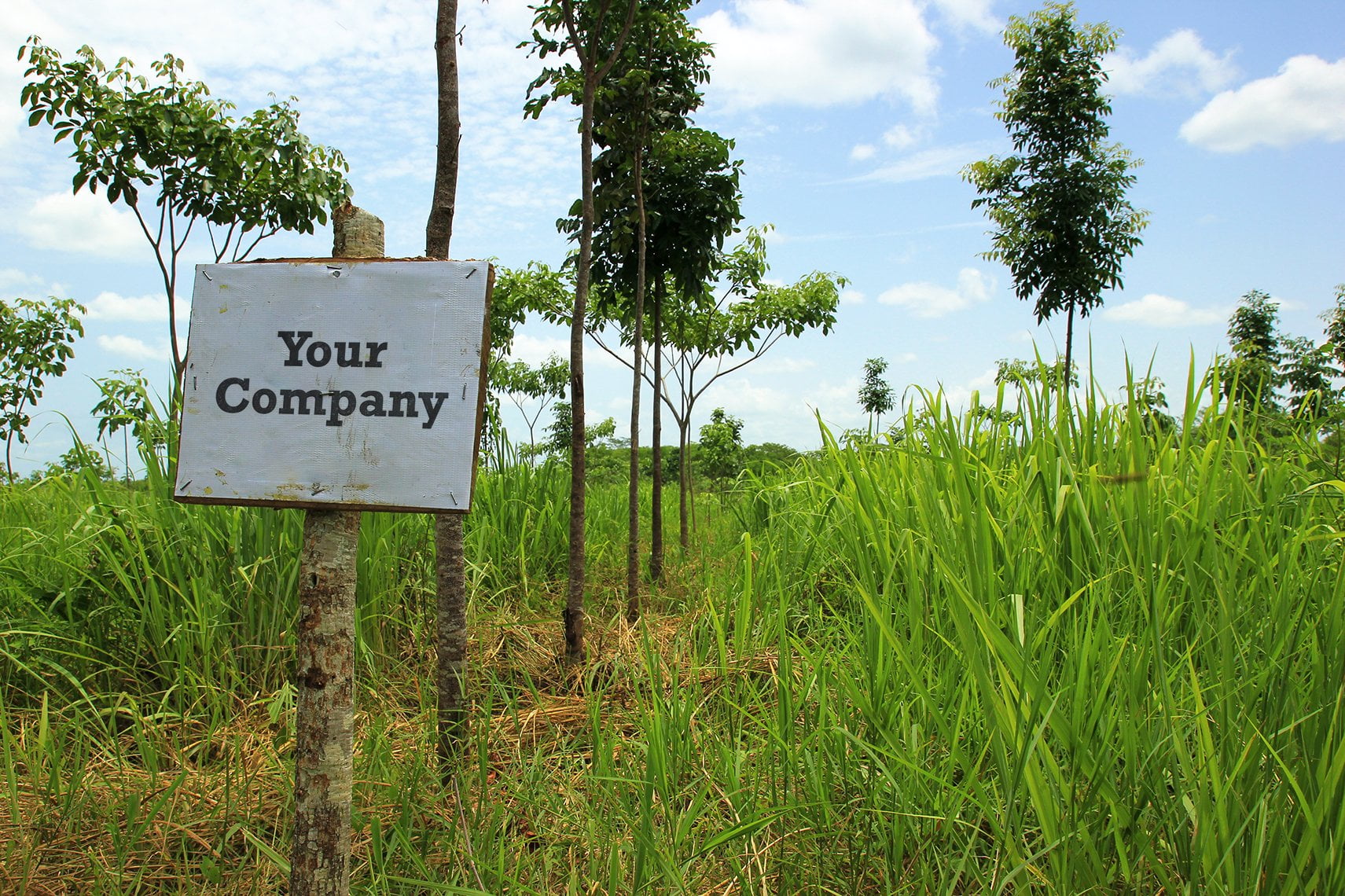 Company sign on a planting site